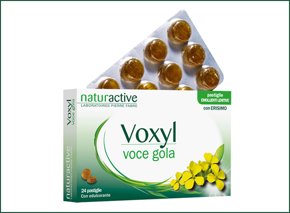 Voxyl - Il Prodotto