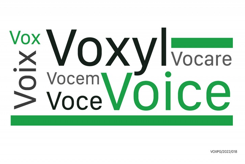 Voxyl & Voice: due parole con molte cose in comune